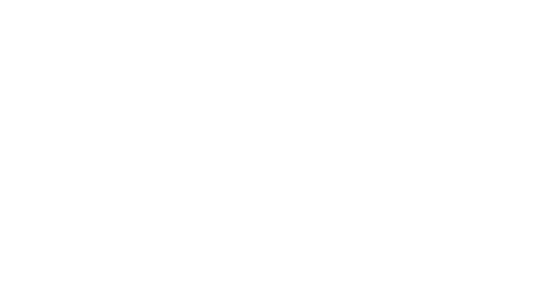 Media Folly